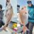 【釣果速報】福岡県Happiness Ⅵで3.0kgの大型マダイをキャッチ！自己最高記録の大鯛を狙うなら福岡県Happiness Ⅵに乗船しよう！
